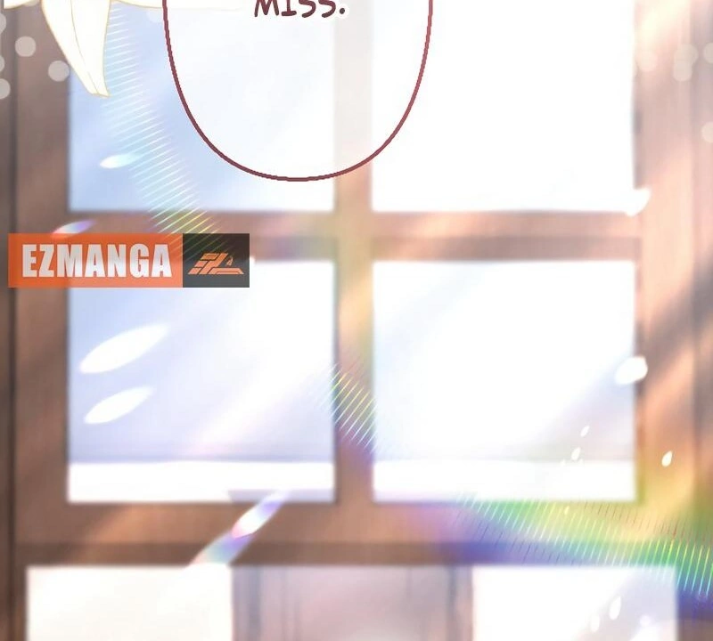 67885495 800 720 51762